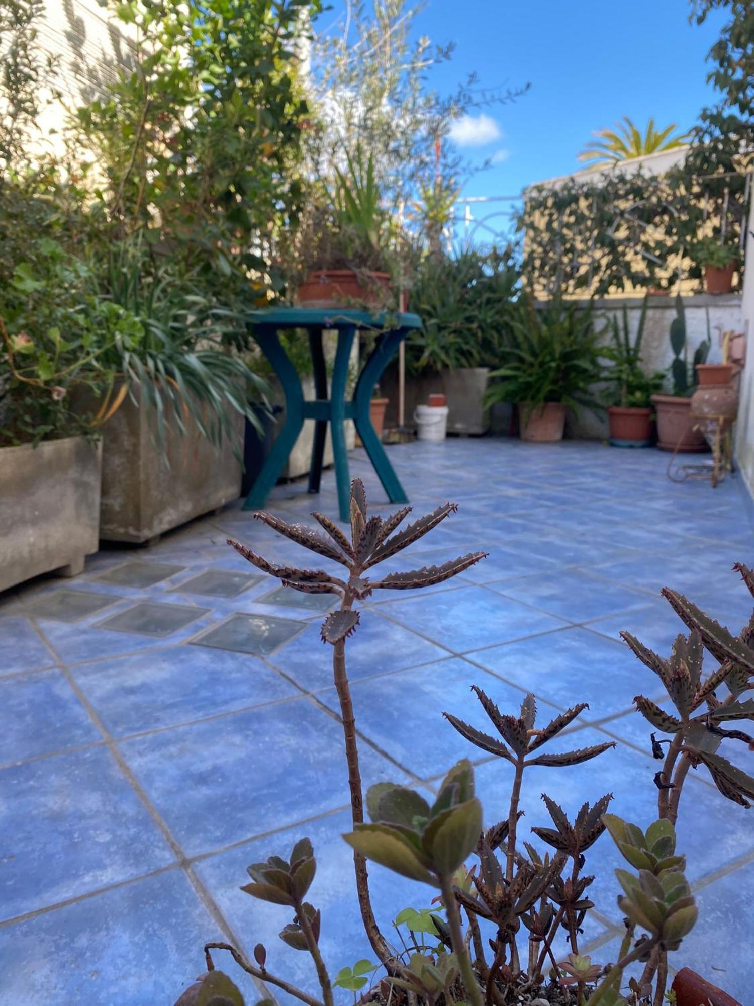 Casa Vacanza Maronti Barano dʼIschia Zewnętrze zdjęcie